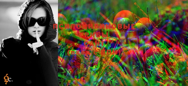 PSILOCYBIN Лиски